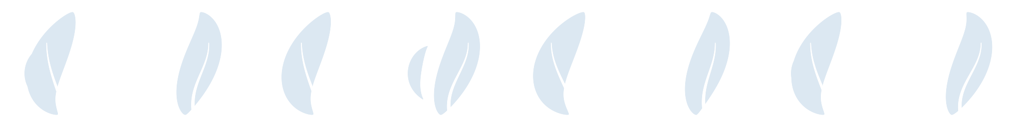 Petal, eight original brush variants